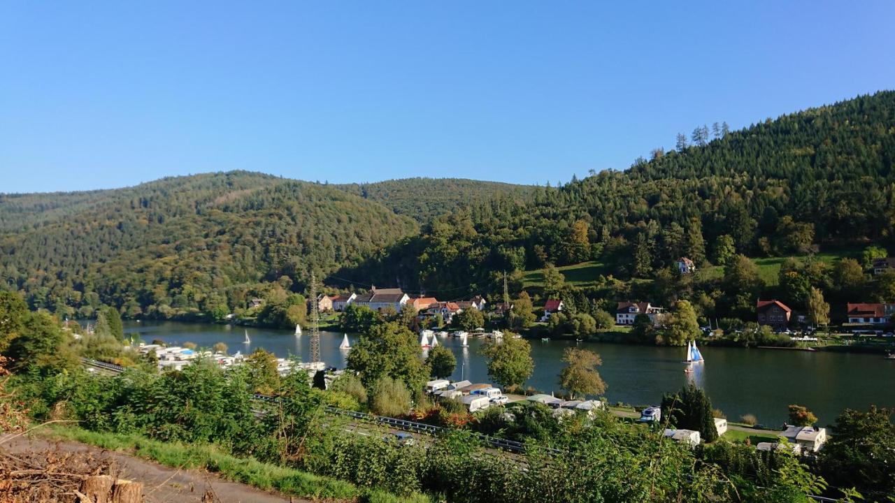 Fewo Am Neckarsteig Mit Anbindung An Heidelberg Neckarsteinach Esterno foto